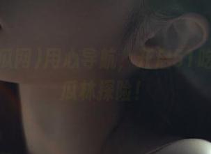 用心导航，开启51吃瓜网的瓜林探险！
