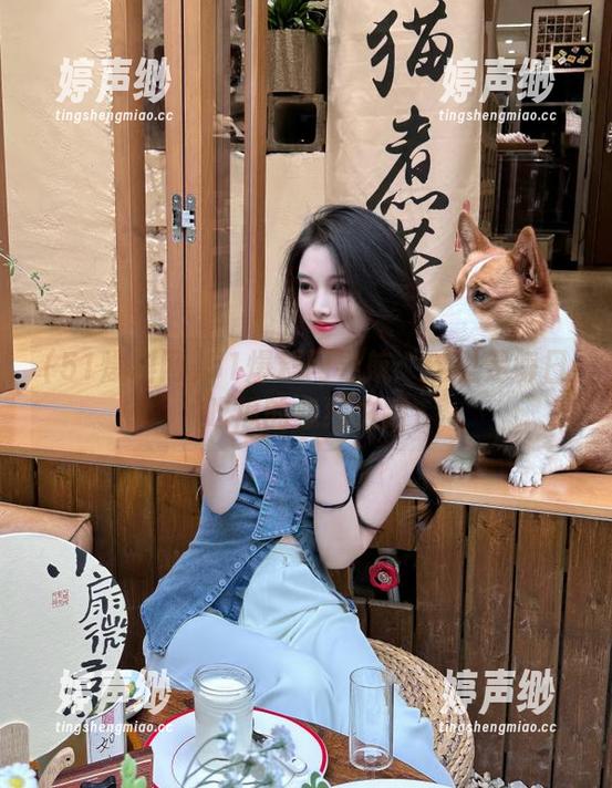 51爆料网导航：这里是每日吃瓜的必经之路