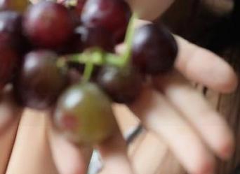 网址上的奇葩排行榜，你敢不敢在www51上查查？