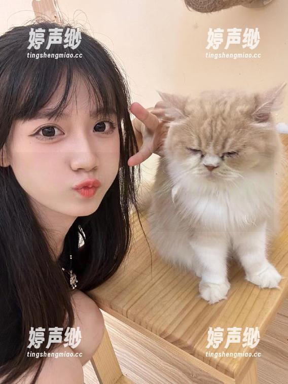 今晚“51吃瓜黑料不打烊”网址要携手黑料大赛，果然一点都不简单！
