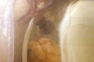 51黑料不打烊，网址里藏的瓜比我的心情多！