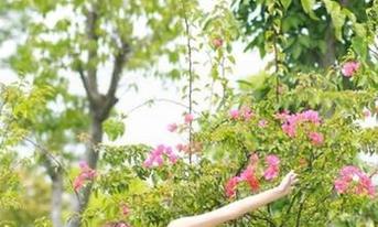 51黑料吃瓜网官网的随笔：在红色暗影中看见阳光！