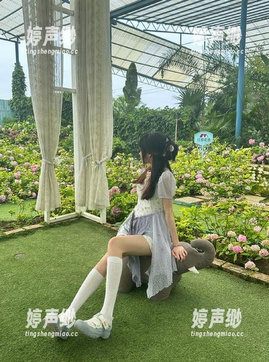 红杏不打烊，快来黑料网下载，咱们的吃瓜旅程才刚刚开始！